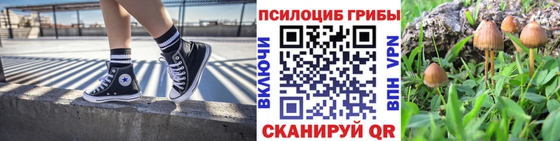 цена   Аткарск  площадка официальный сайт  Галлюциногенные грибы прущие грибы 